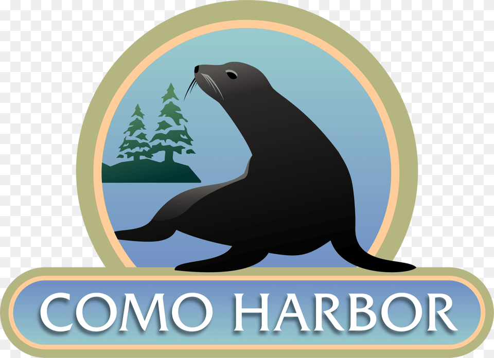 Como Harbor Illustration, Animal, Mammal, Sea Life, Sea Lion Png
