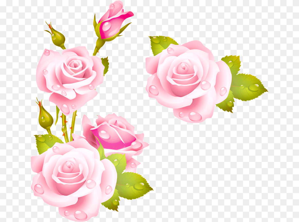 Como La Miel De Abejas Mil Flores Shabby Chic Flowers, Flower, Plant, Rose, Petal Free Png