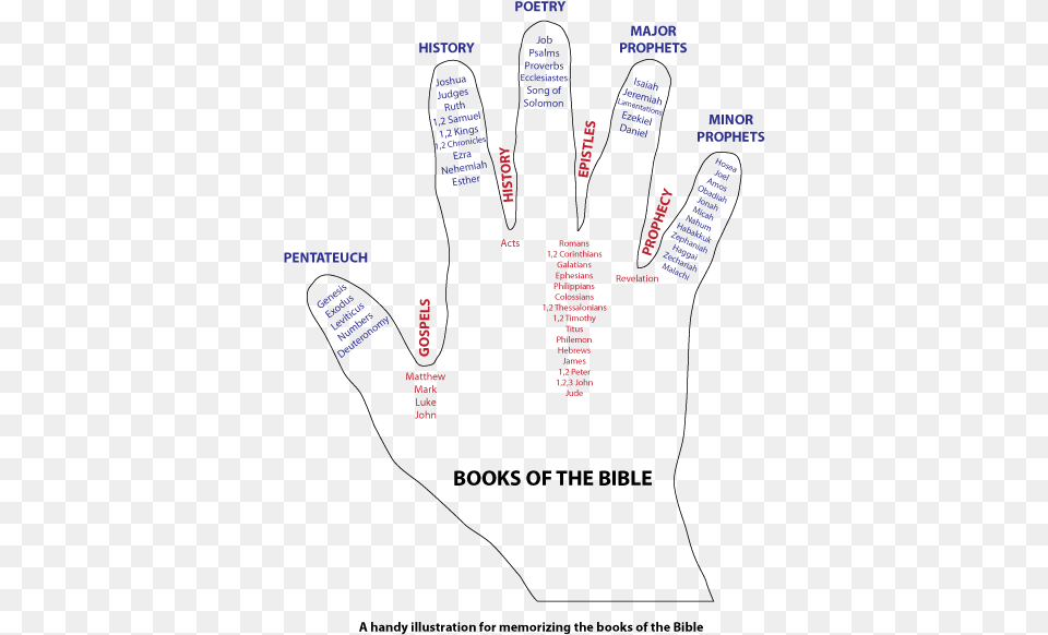Como Memorizar Los Libros De La Biblia Png Image