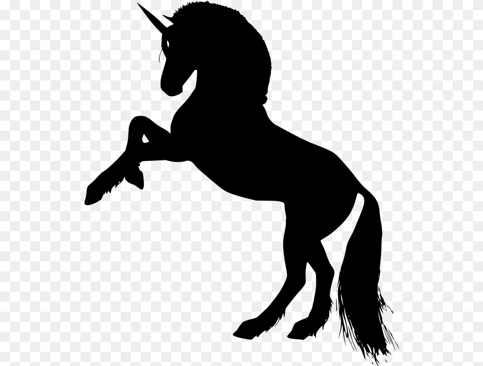 Como Se Desenha Um Cavalo, Gray Free Png
