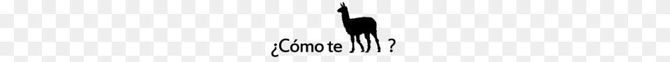 Como Te Llamas, Gray Free Transparent Png