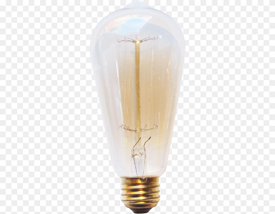 Compact Fluorescent Lamp, Light, Lightbulb Png Image