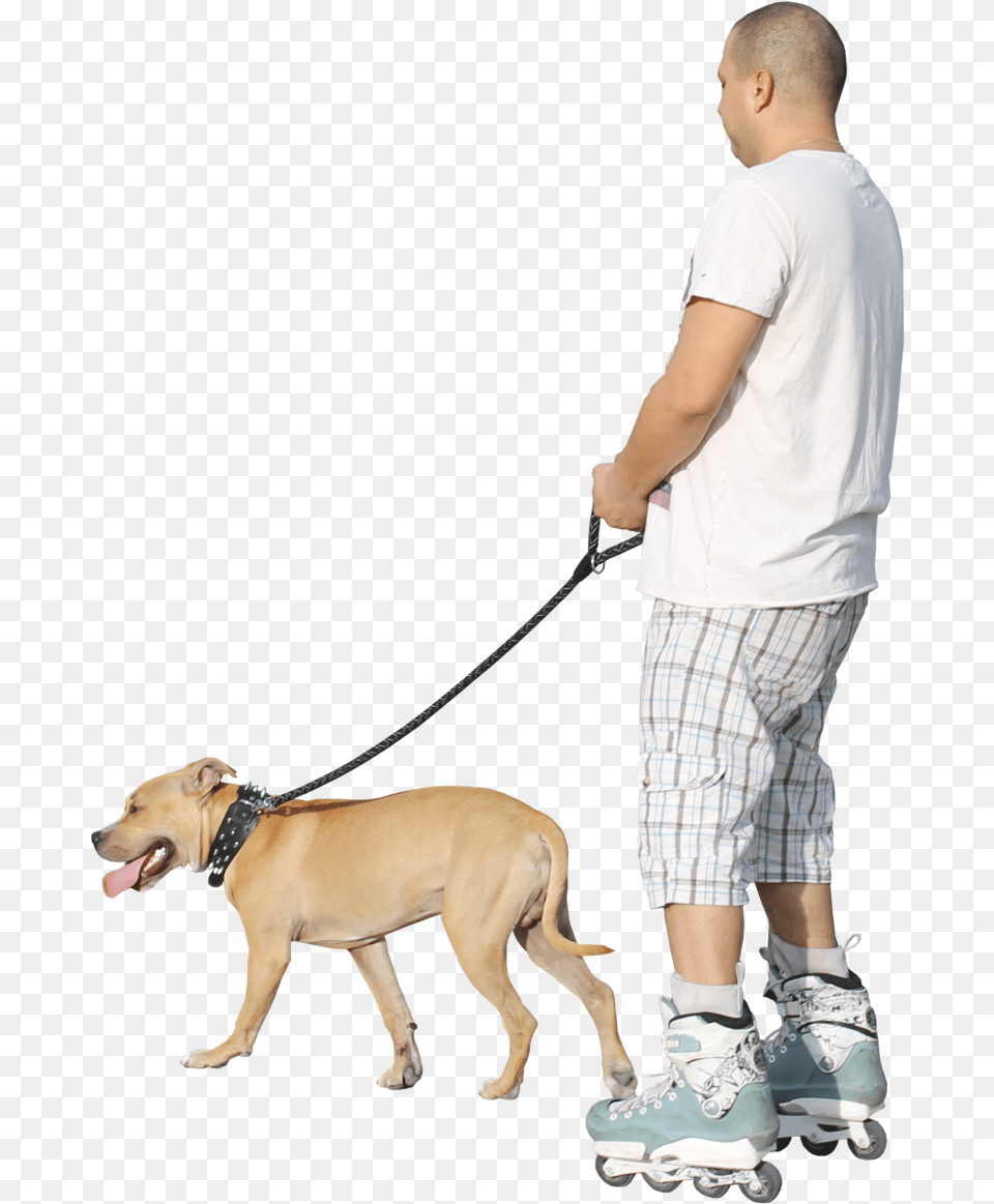 Companion Dog, Footwear, Clothing, Shoe, Person Free Transparent Png