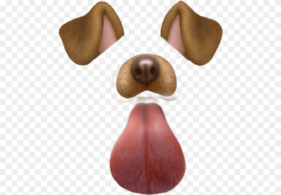 Companion Dog, Snout, Body Part, Mouth, Person Png