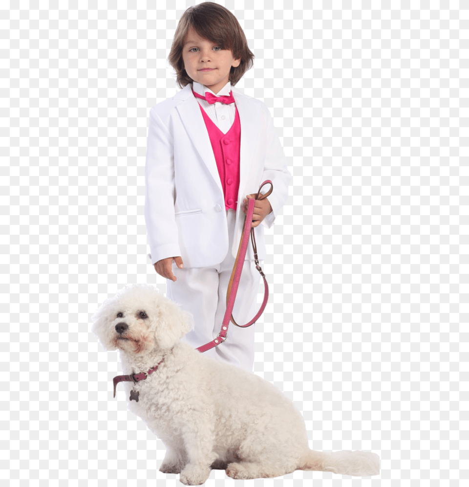 Companion Dog, Accessories, Formal Wear, Tie, Coat Png Image