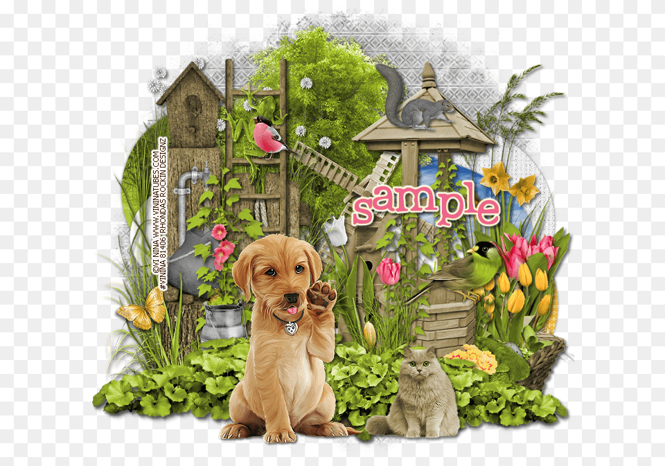 Companion Dog, Garden, Outdoors, Nature, Pet Free Png Download