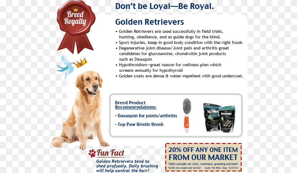 Companion Dog, Advertisement, Pet, Mammal, Golden Retriever Png Image