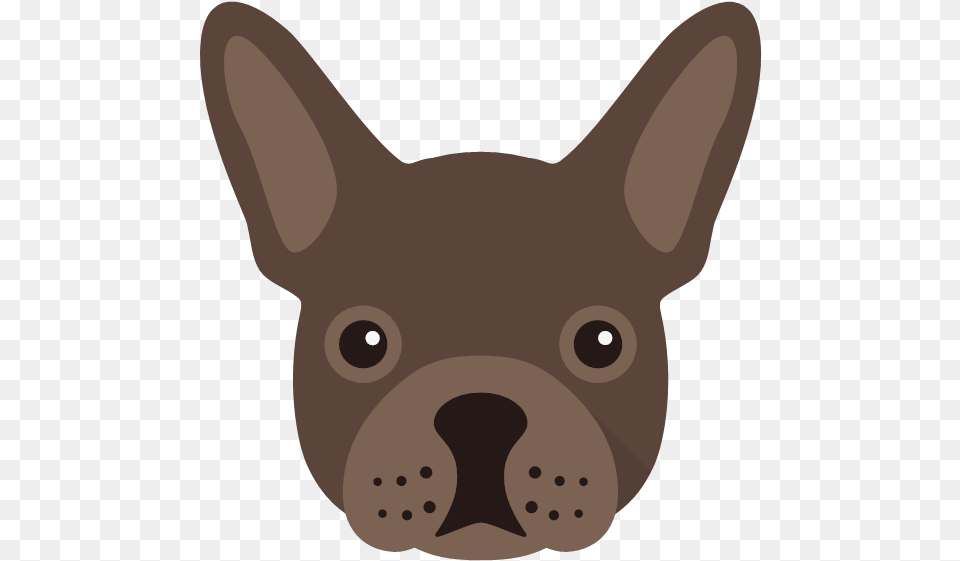 Companion Dog, Animal, Bulldog, Canine, French Bulldog Free Png