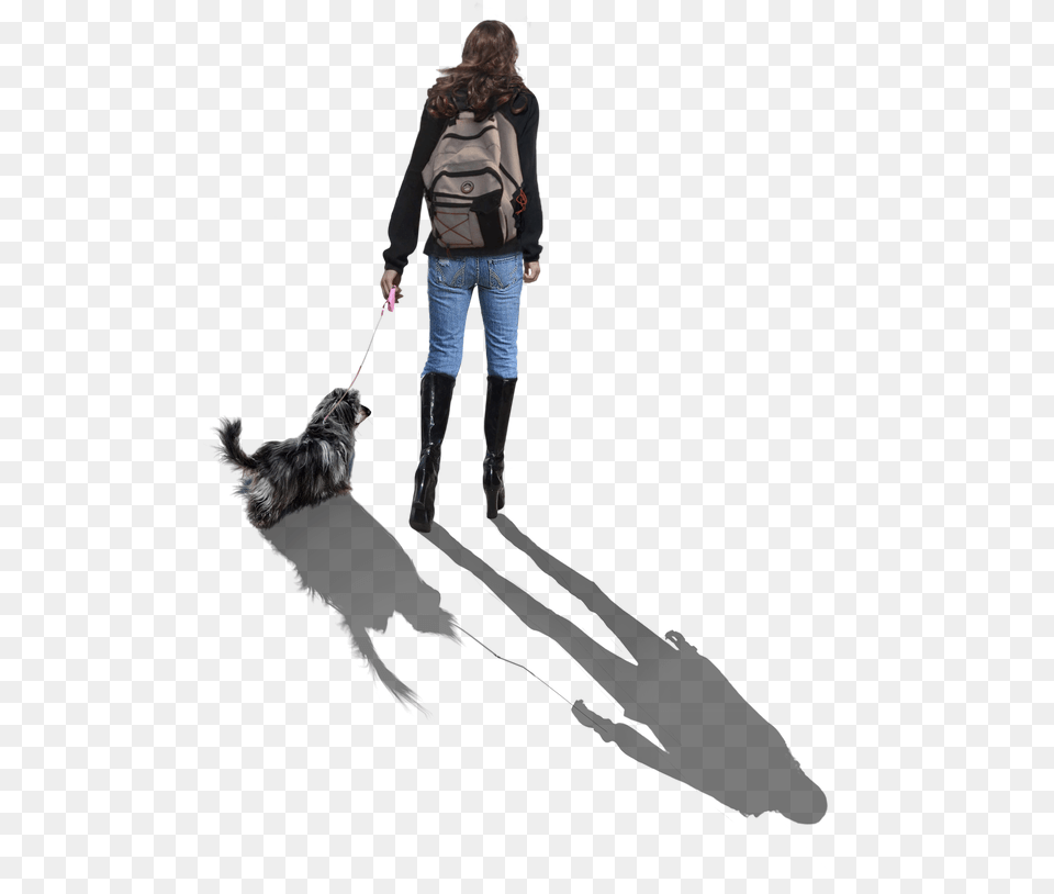 Companion Dog, Accessories, Strap, Clothing, Pants Free Png Download
