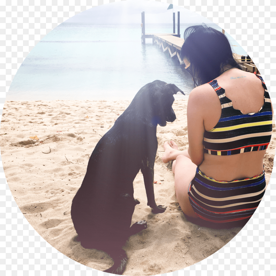 Companion Dog, Swimwear, Back, Photography, Body Part Free Transparent Png