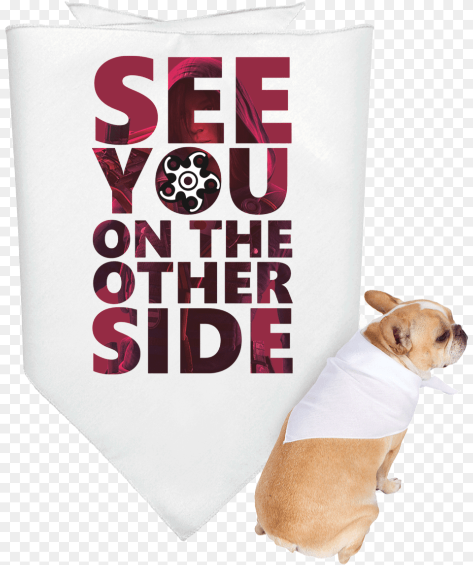 Companion Dog, Accessories, Tie, Person, Formal Wear Png