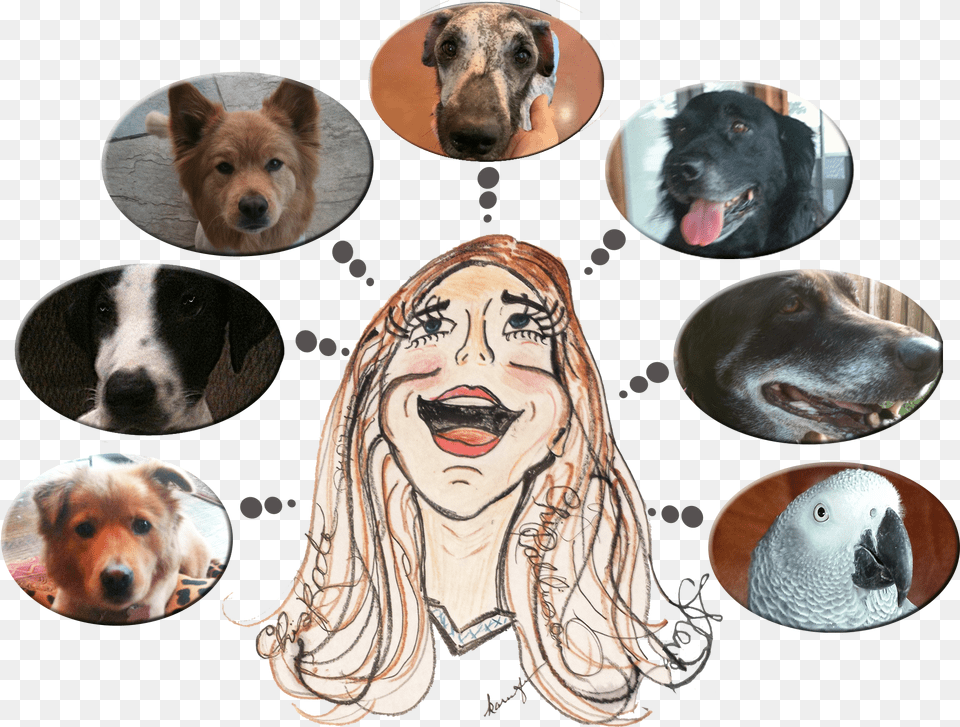 Companion Dog, Animal, Pet, Canine, Mammal Free Transparent Png