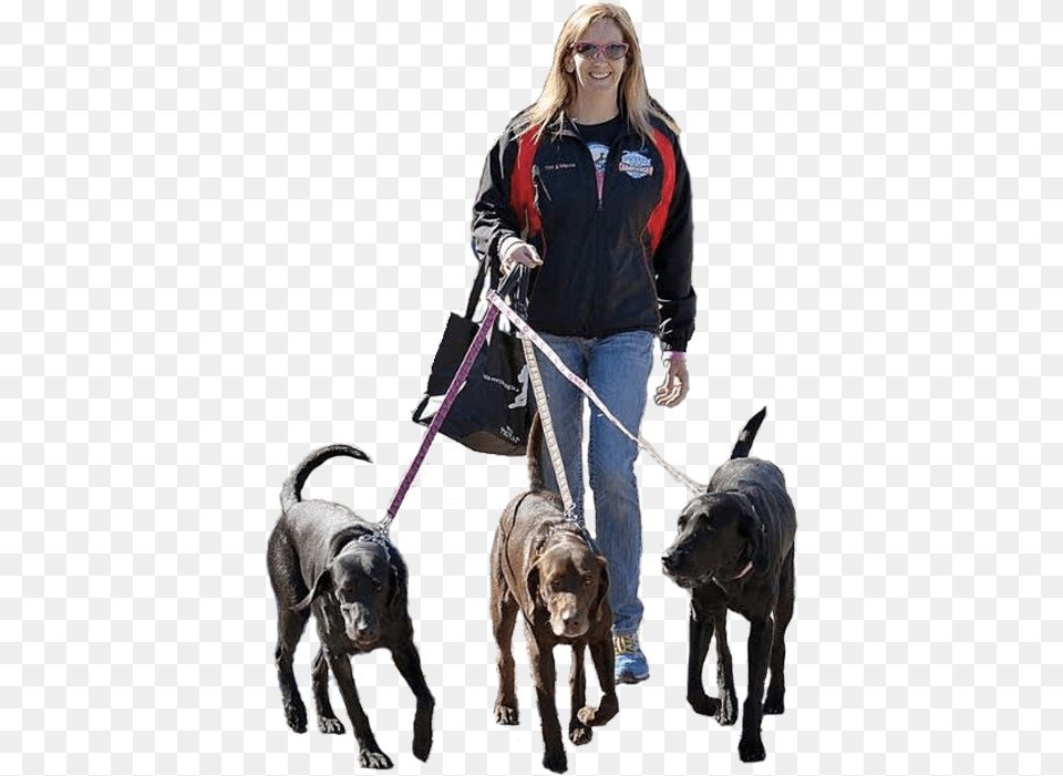 Companion Dog, Animal, Canine, Pet, Mammal Png