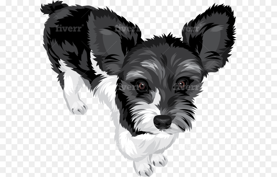 Companion Dog, Animal, Canine, Mammal, Person Free Png