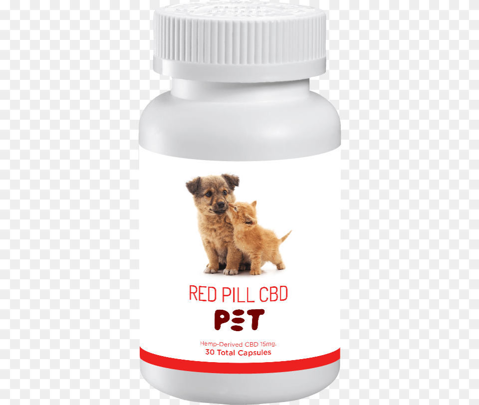 Companion Dog, Animal, Pet, Mammal, Herbs Free Transparent Png