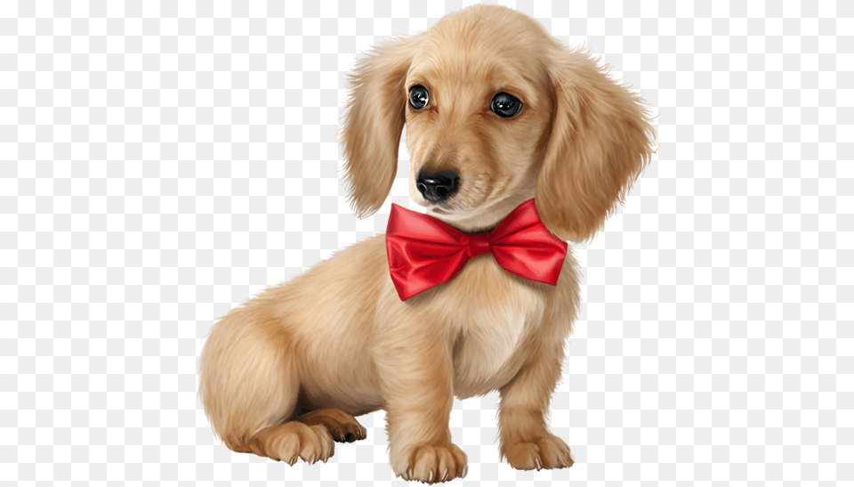 Companion Dog Ear Puppy Love Clipart Cocker Spaniel, Accessories, Pet, Mammal, Tie Free Transparent Png