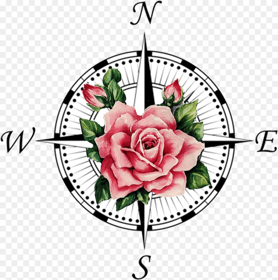 Compass Rose Tattoo Transprent Compass Symbol, Flower, Plant Free Png Download