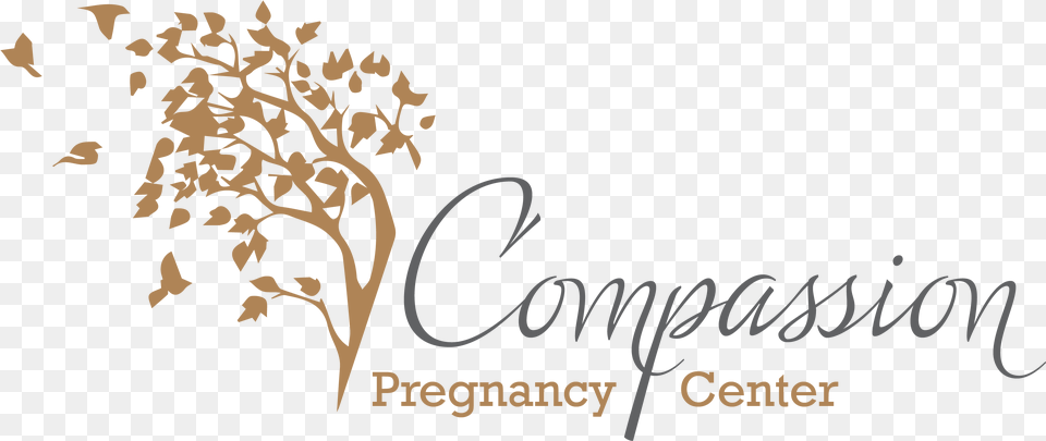 Compassion Pregnancy Center, Art, Graphics, Floral Design, Pattern Free Png Download