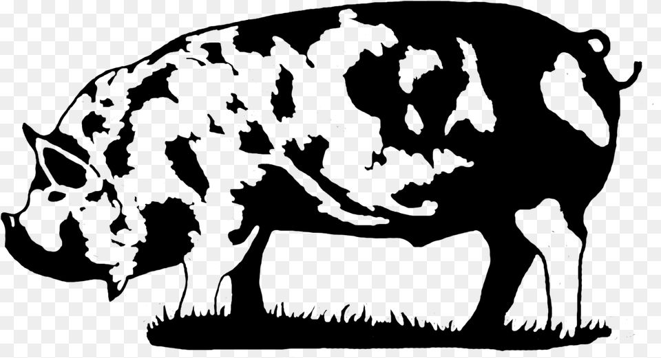Competitive Advantage Business Solutions Llc Kune Kune Pig Black And White Free Png