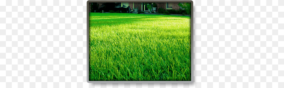 Complete This Form And One Of Our Lawn Technicians Lawn Care, Grass, Plant, Person Free Png Download