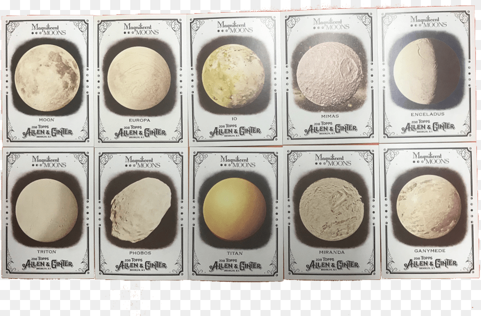 Complete Topps Allen And Ginter Insert Set Eye Shadow, Dough, Food, Sphere, Cream Free Png