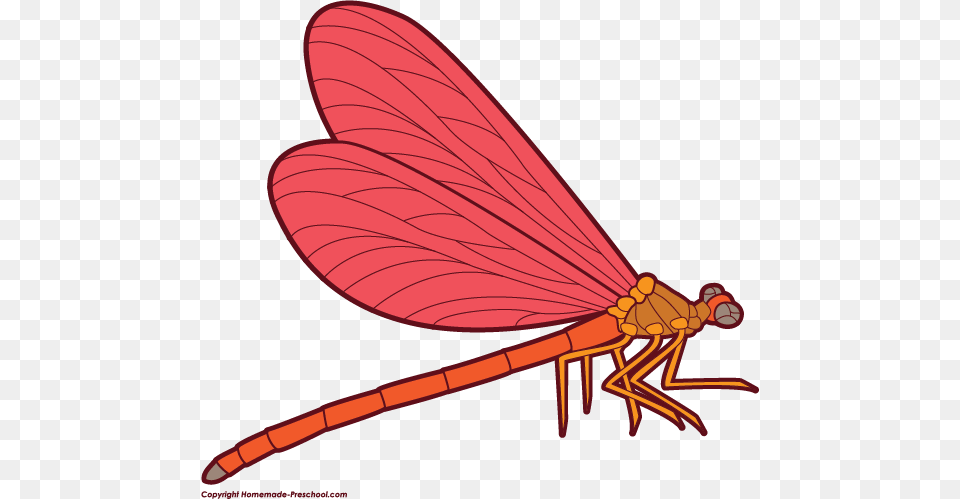 Completely Clip Art, Animal, Dragonfly, Insect, Invertebrate Png Image