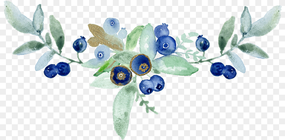 Compo Blueberry Blueberry, Berry, Food, Fruit, Plant Free Transparent Png