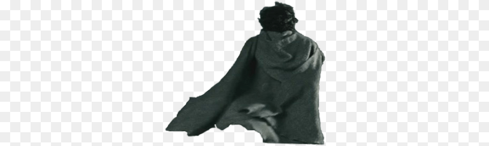Composer Howard Shore Statue, Cloak, Clothing, Fashion, Adult Free Png Download