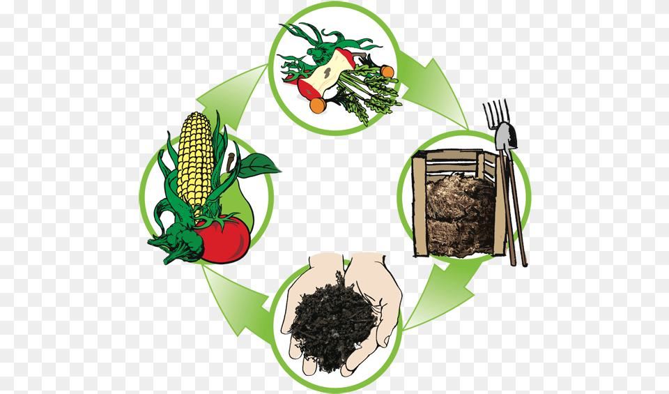 Compost Cycle, Food, Produce, Grain, Adult Free Png