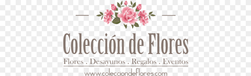 Comprar Ramos De Flores En Coleccin De Flores, Advertisement, Flower, Plant, Rose Free Png