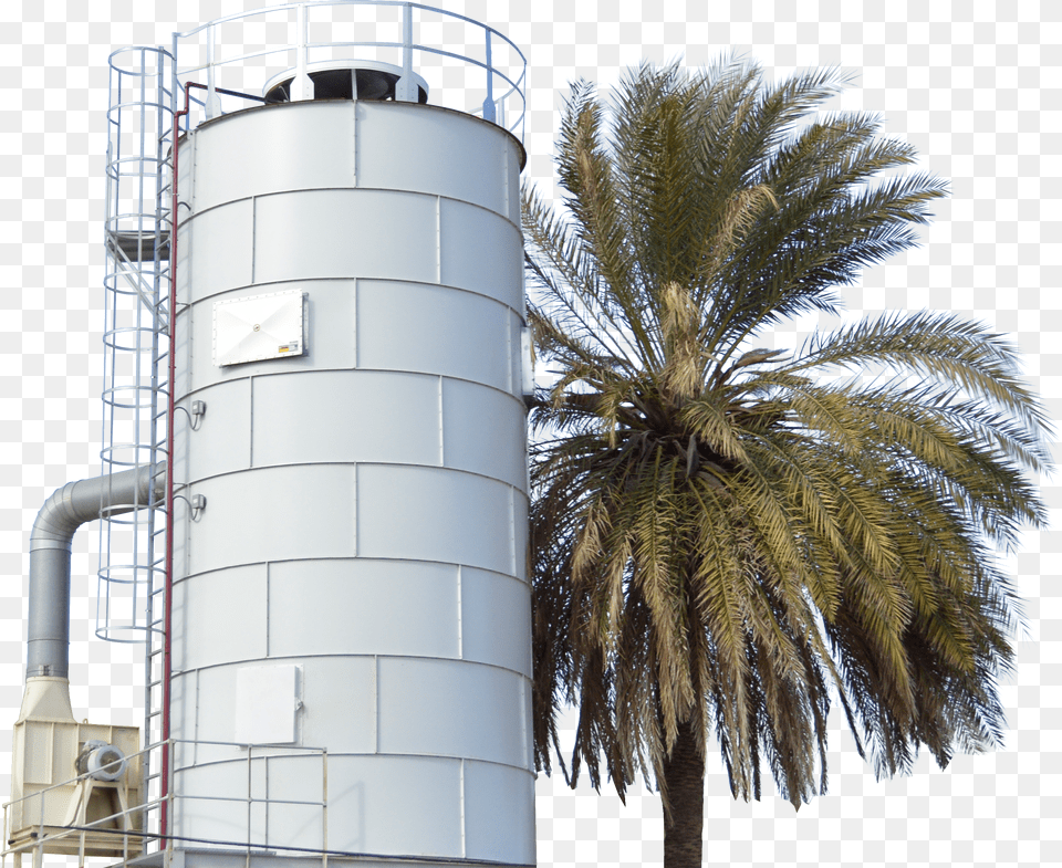 Comprehensive Services Of Industrial Aspiration And Atex Silo, Tree, Plant, Palm Tree, Summer Free Png