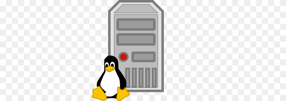 Computer Animal, Bird, Penguin, Electronics Free Transparent Png