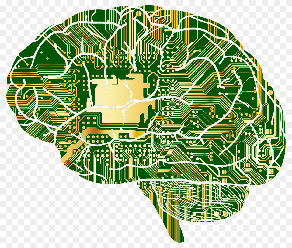 Computer Brain, Electronics, Hardware, Printed Circuit Board, Animal Png Image