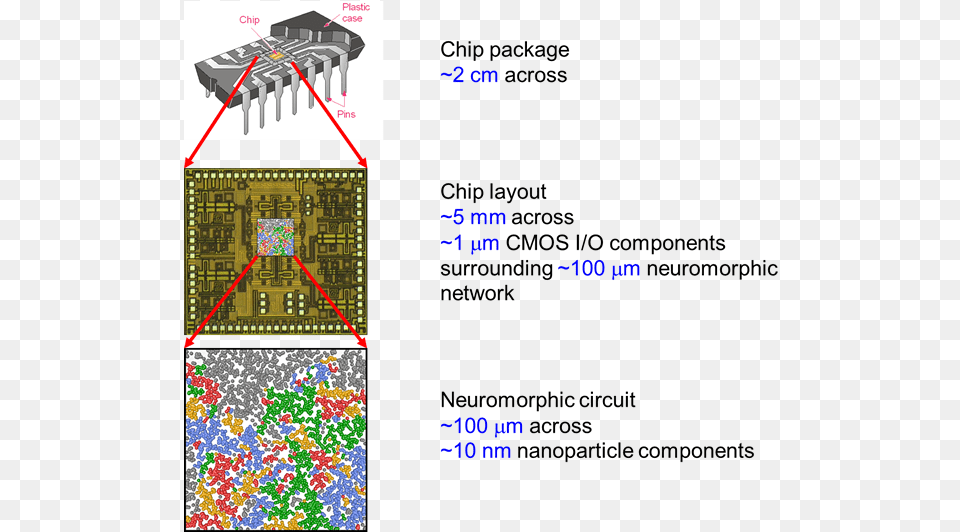 Computer Chip Brain Cmos Circuit, Electronics, Hardware, Printed Circuit Board Png