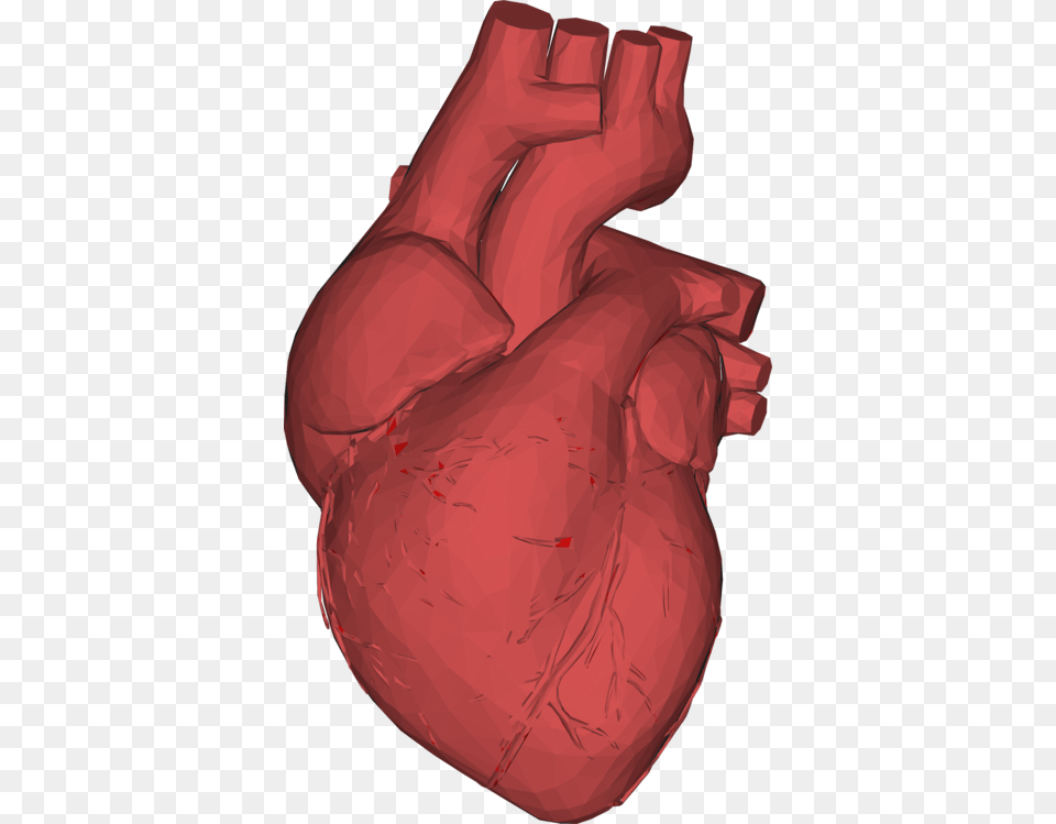 Computer Graphics Low Poly Heart Anatomy Thumb, Clothing, Glove, Adult, Female Free Transparent Png