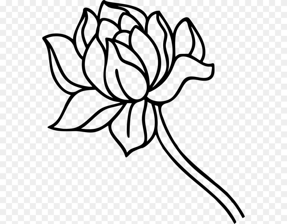 Computer Icons Flower Floral Design Coloring Book Line Art, Gray Free Transparent Png