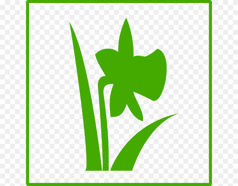 Computer Icons Green Flower Drawing Pictogram, Plant, Daffodil, Animal, Fish Free Png