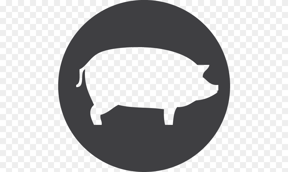 Computer Icons Ham, Animal, Mammal, Pig, Boar Png