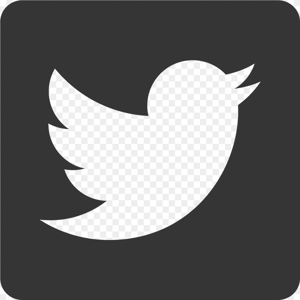 Computer Icons Logo Metropolitan Mechanical Contractors Twitter Icon Rounded Square, Silhouette, Animal, Bird, Blackbird Free Transparent Png