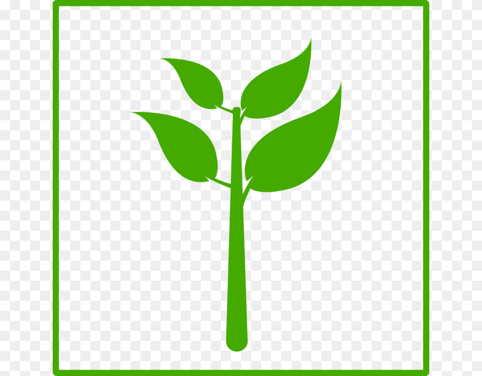 Computer Icons Plant Stem Green Leaf, Herbal, Herbs Free Png