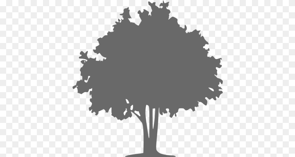 Computer Icons The Tree Doctor Vector Coniferous Vs Deciduous Trees, Plant, Art, Silhouette, Person Png