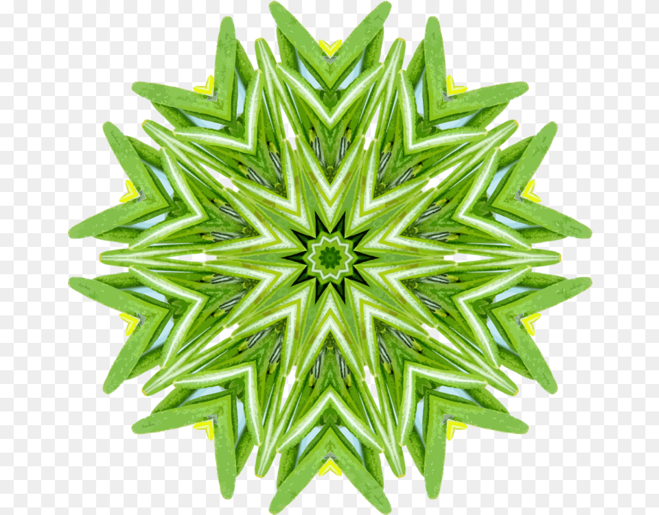 Computer Icons Vector Magic Paint Roblox Video Star Egg Stock Photography, Green, Pattern, Plant, Art Png