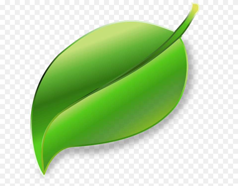 Computer Icons Waxing Girl Studio Theme Icon Design, Green, Leaf, Plant, Produce Free Transparent Png