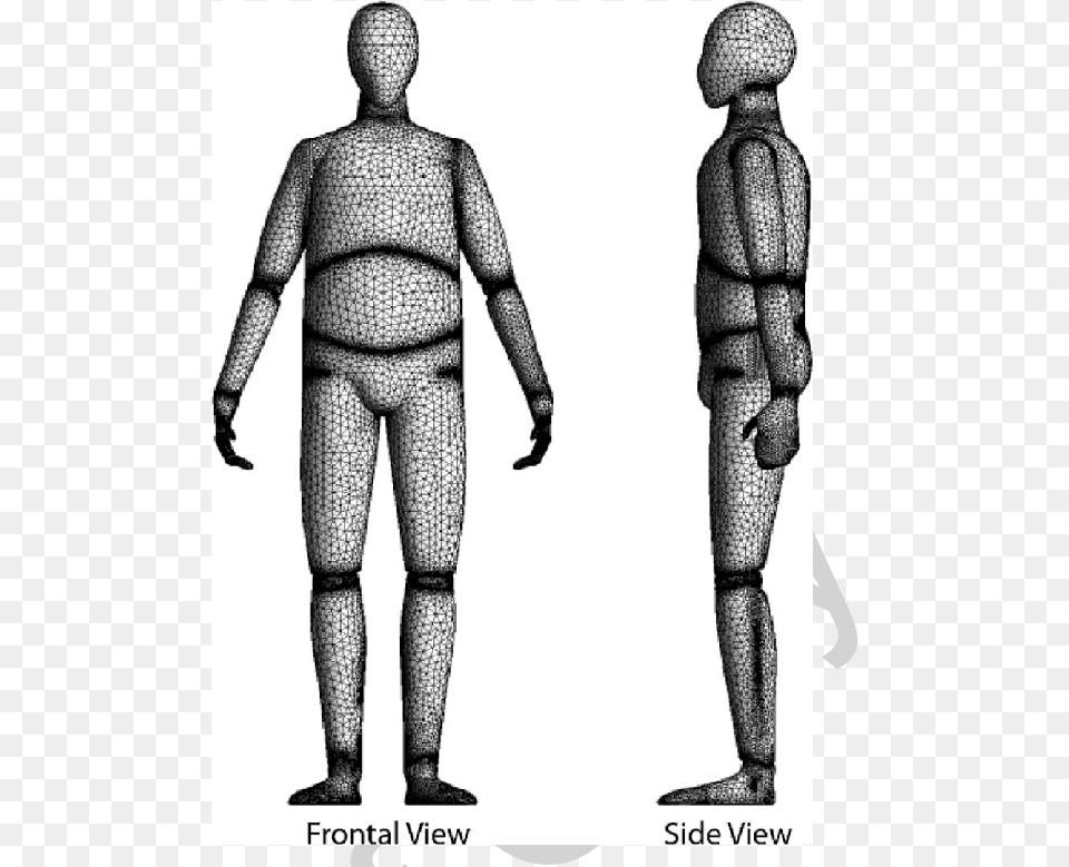 Computer Model Of Human Body, Armor, Adult, Male, Man Png