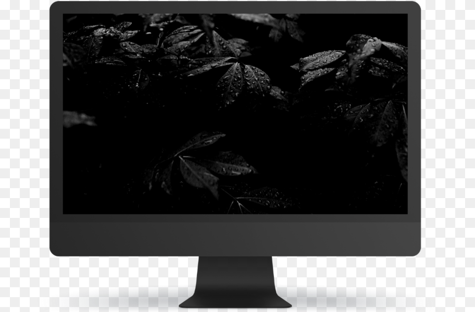 Computer Monitor, Electronics, Screen, Computer Hardware, Hardware Free Transparent Png