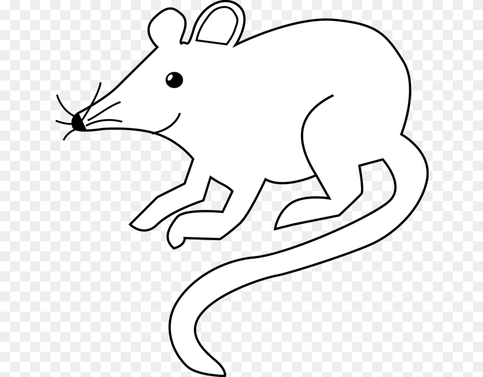 Computer Mouse Document Drawing Encapsulated Postscript, Animal, Mammal, Wildlife, Fish Png Image