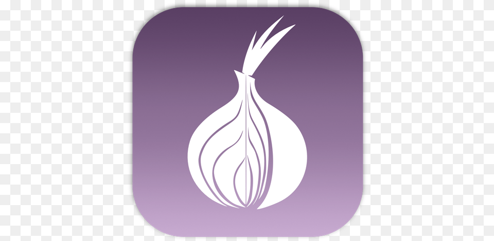 Computer Routing Tor Icons, Food, Produce Free Transparent Png