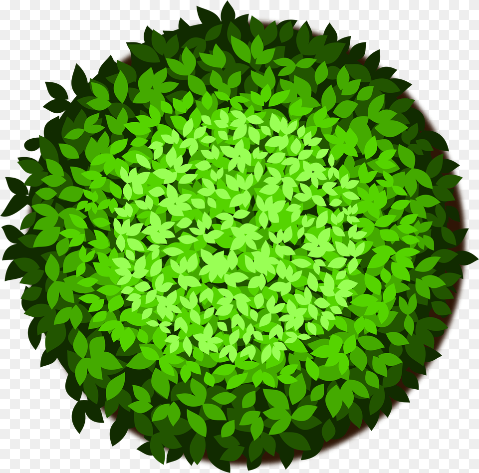 Computers Clipart Tree Tree Icon Top View, Green, Moss, Plant, Vegetation Free Transparent Png