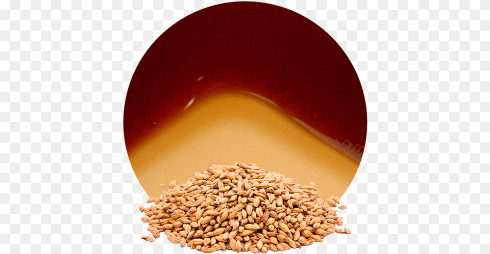 Comwp Concentrate Emmer, Food, Grain, Produce, Wheat Png