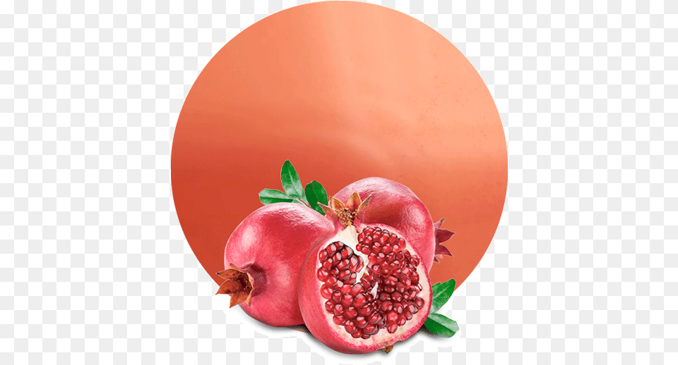 Comwp Juice Nfc 2 Pomegranate Meaning In Urdu, Food, Fruit, Plant, Produce Free Transparent Png